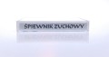piew.jpg