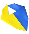20200727_133545-removebg-preview.png