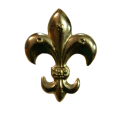 dda5e404a0fae174600065884359c801-removebg-preview.png