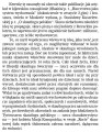 260image13016