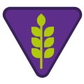 large_tropy-zuchowe-rolnicy-zhp-reforma-sim-system-identyfikacji-metodycznej.jpg