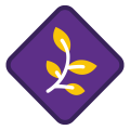 big_trop-natura.png