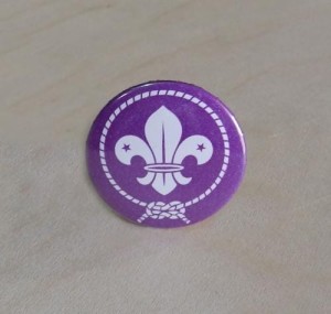 Przypinka WOSM 
