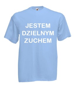 Koszulka - Jestem dzielnym zuchem