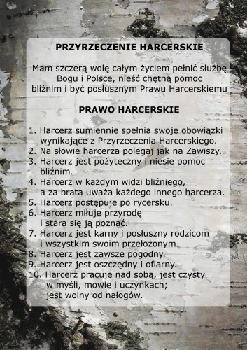 naklejak ZHP.jpg