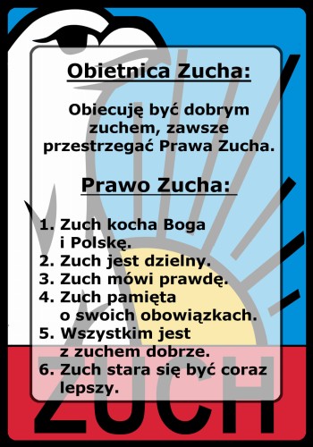 naklejkazucha.jpg