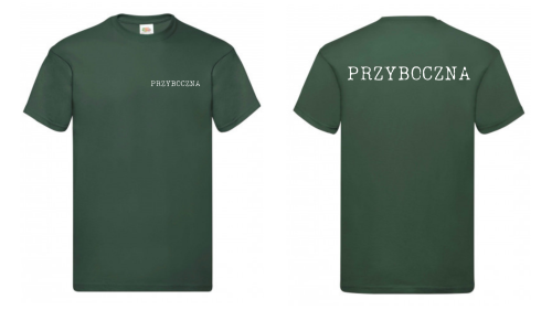 ciemozielona grafika ONA.png