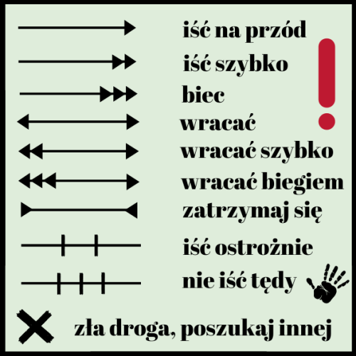 znaki patrolowe.png