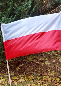 Flaga Polski na drzewiec 110x70 cm