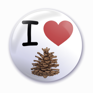 Przypinka "I love szyszki"