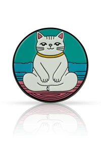Pin kot zen